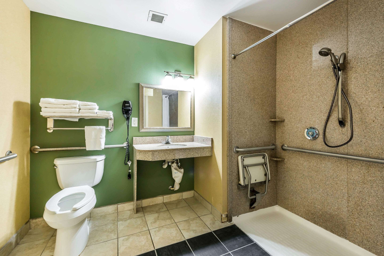 Bathroom 4, Sleep Inn & Suites University/Shands, Alachua