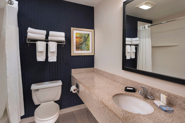Bathroom 4, Fairfield Inn by Marriott St. Louis Collinsville, IL, Madison