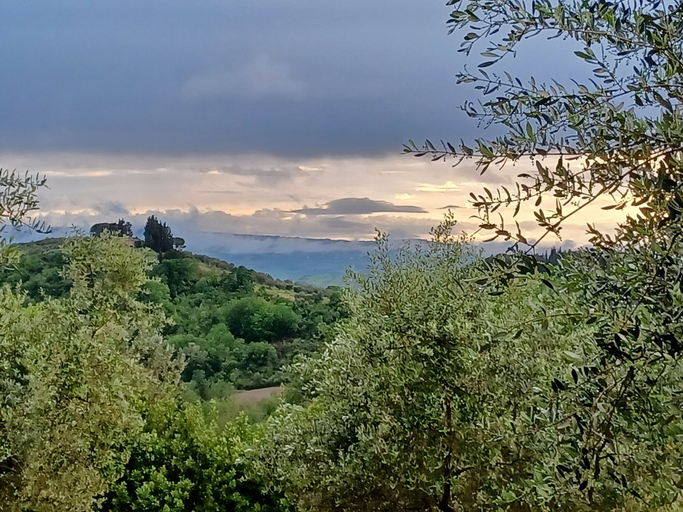 Scenery