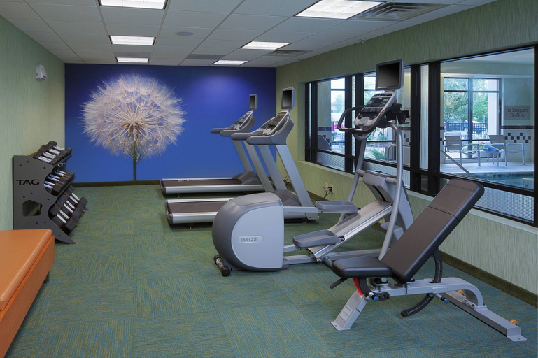Others 5, SpringHill Suites by Marriott Lansing, Eaton