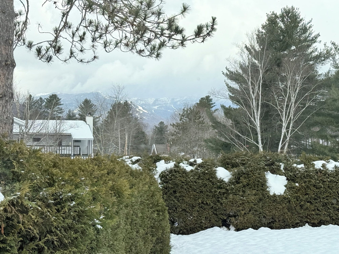 Others 5, Stowe Motel & Snowdrift, Lamoille