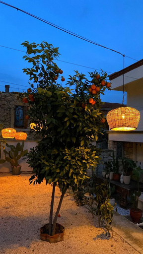 Exterior & Views 2, Selin Hotel, Çeşme