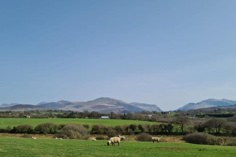 Others 5, Woodland Shepherds Hut - 'Saga', Gwynedd