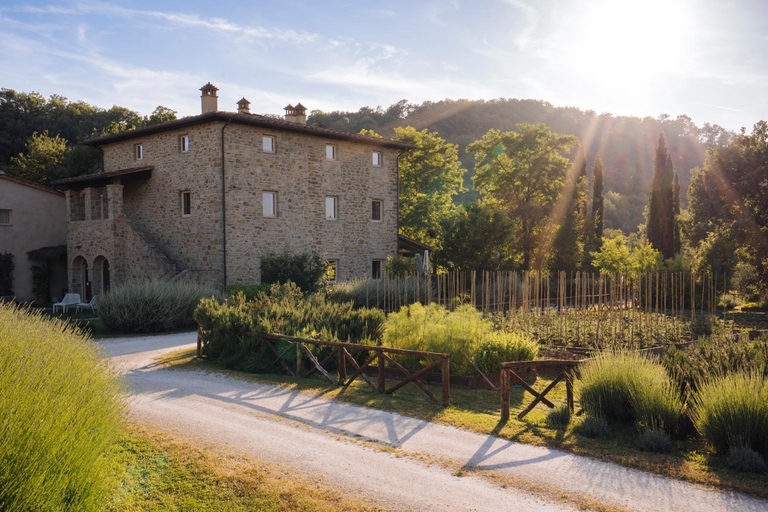 Cuprena, Arezzo