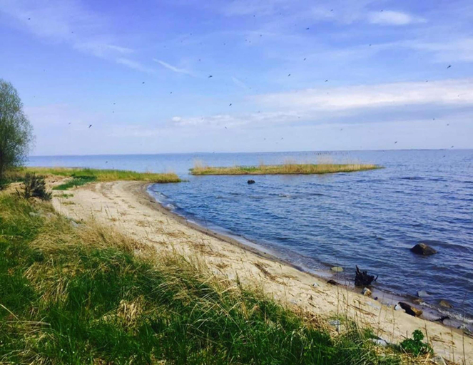 View from property 2, Holiday Home, Nowe Warpno for 6 Persons, Police