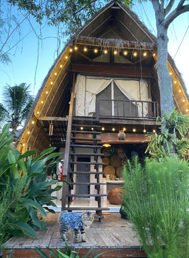 Exterior 1