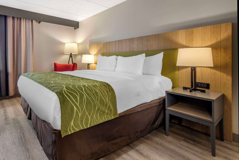 Bedroom 3, Comfort Inn & Suites Liverpool - Syracuse North, Onondaga