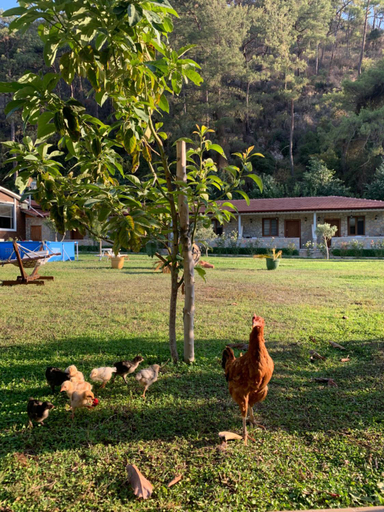 Others 5, Doga Ciftlik Konaklama, Marmaris