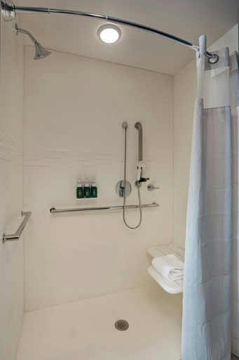 Bathroom 4, Residence Inn by Marriott St. Paul Downtown, Ramsey