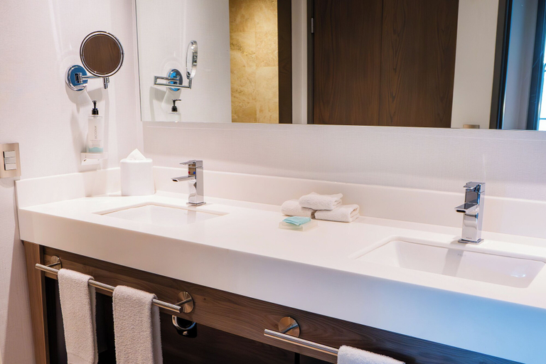 Bathroom 4, Hilton Garden Inn Mexico City Santa Fe, Mexico City