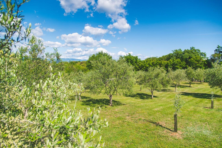 Garden 2, Mediterranean Luxury Villa Jele, Dobrinj