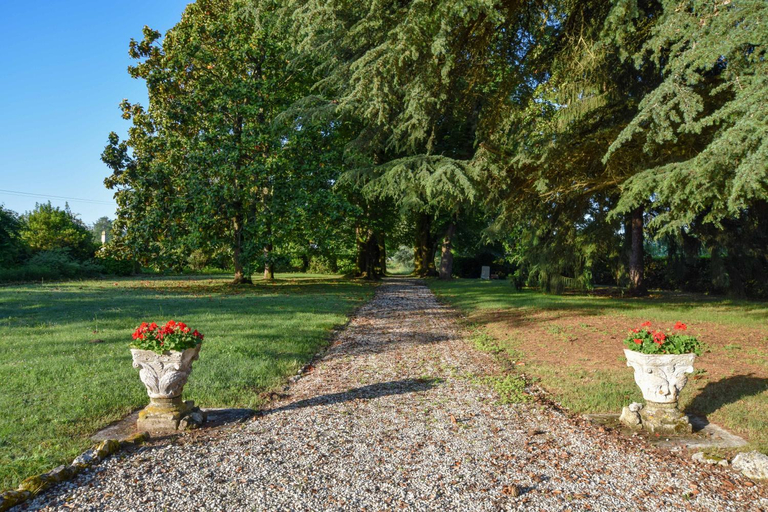 Others 4, Domaine de Laguneaussan, Gironde