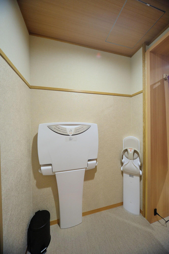 Bathroom, Tennen Onsen Toyama Tsurugi no Yu Onyado Nono, Toyama