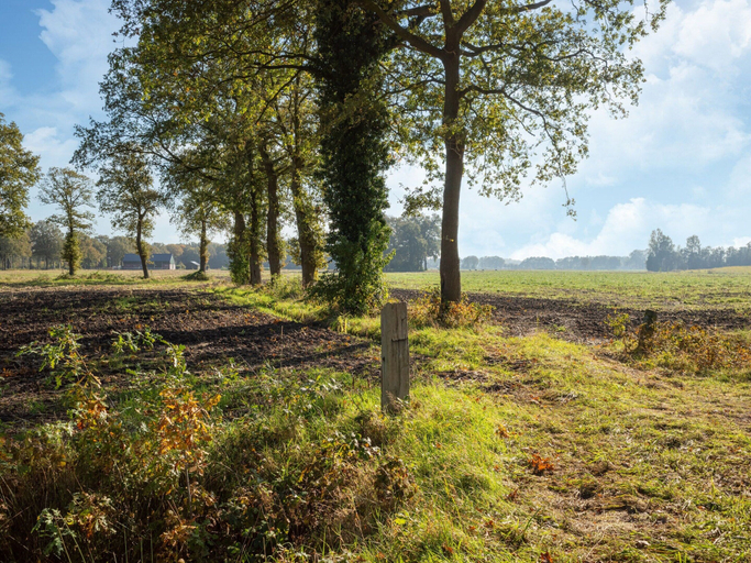 View from property 5, Vacation Home in Haarle near Hellendoorn, Hellendoorn