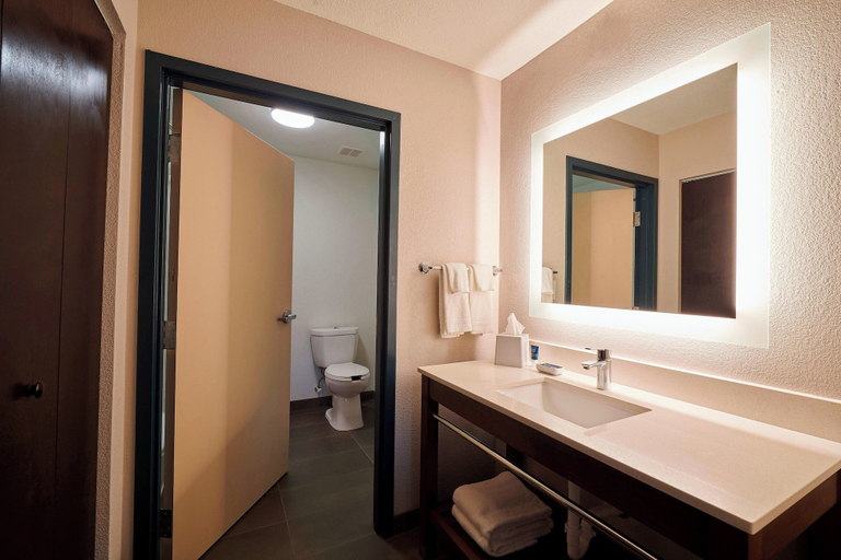 Bathroom 4, Four Points by Sheraton Cleveland-Eastlake, Lake