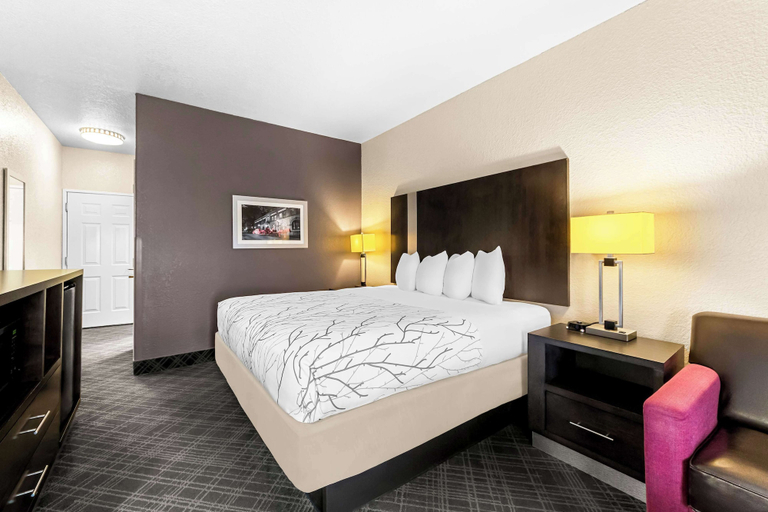 Bedroom 4, Best Western Boerne Inn & Suites, Kendall