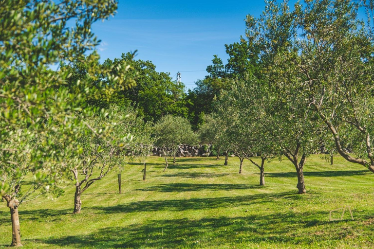 Garden 4, Mediterranean Luxury Villa Jele, Dobrinj
