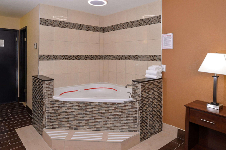 Bathroom 4, Quality Inn Appleton West, Outagamie