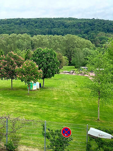 Exterior & Views 2, Park Hotel Leimen, Rhein-Neckar-Kreis