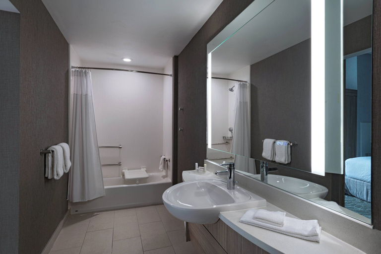 Bathroom 5, Springhill Suites By Marriott Waco, McLennan