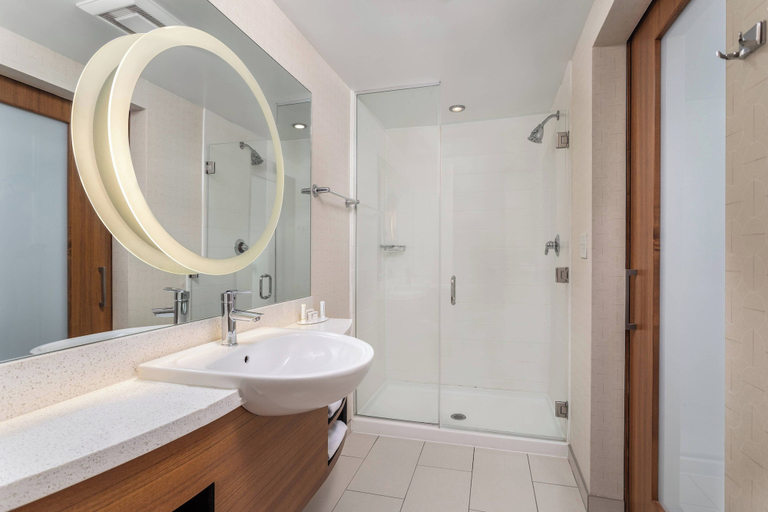 Bathroom 4, SpringHill Suites by Marriott Chattanooga Downtown/Cameron Harbor, Hamilton