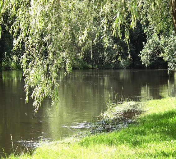Water view 2, Ferienhaus Spreeidyll, Schlepzig, Dahme-Spreewald