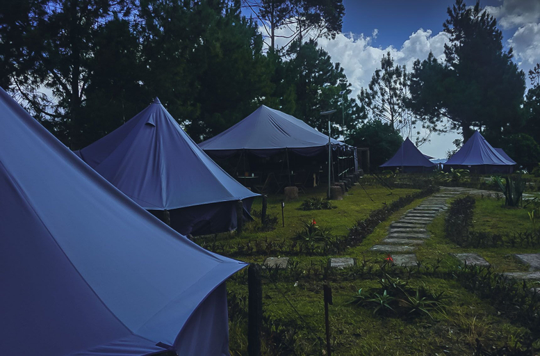 Scenery 8