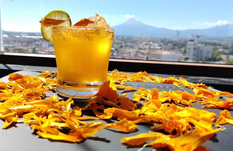 Food & Drinks 4, Radisson Puebla Angelopolis, San Andrés Cholula