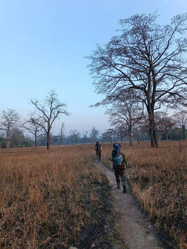 Others 2, Nanu's Bardiya Homestay, Bheri