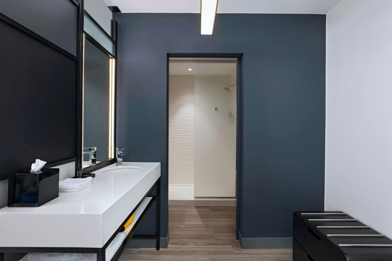 Bathroom 3, Aloft by Marriott Austin Southwest, Travis