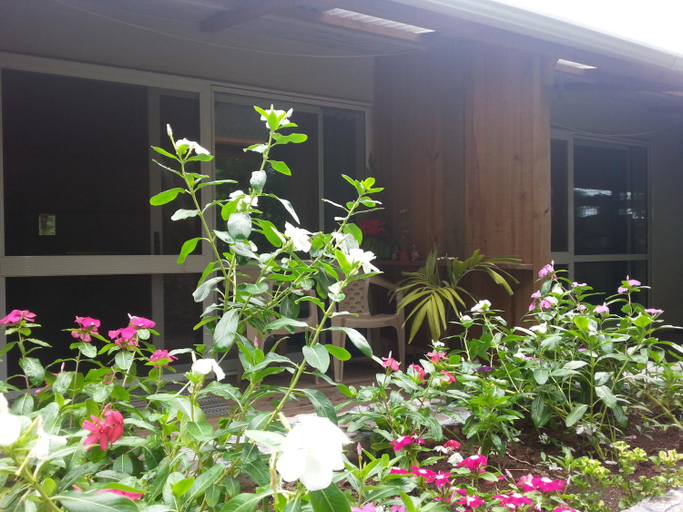 Exterior & Views 1, Gecko Lodge Fiji, Cakaudrove