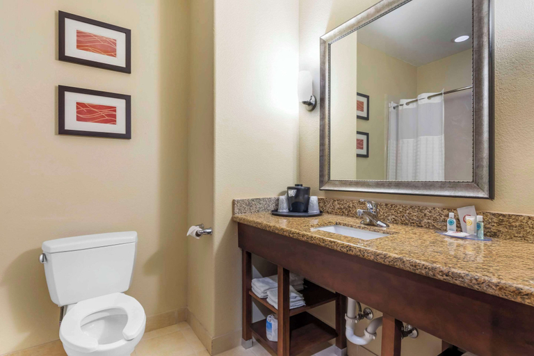 Bathroom 4, Comfort Inn & Suites Mexia, Limestone