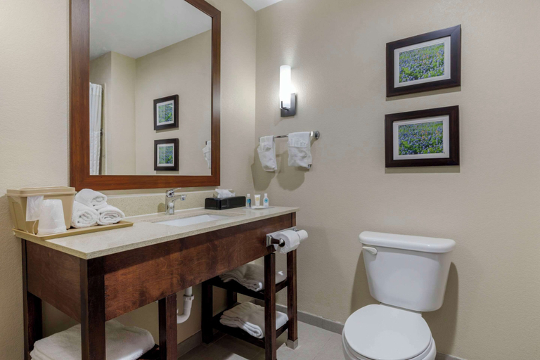 Bathroom 4, Comfort Suites Benbrook - Fort Worth Southwest, Tarrant