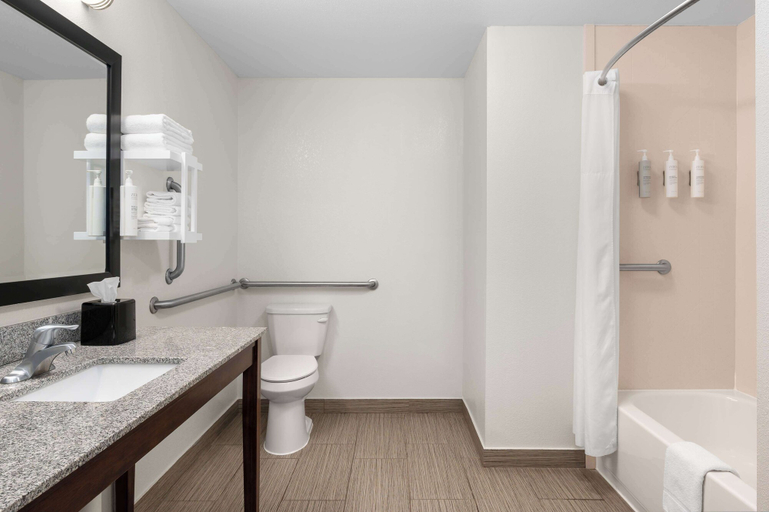 Bathroom 4, Hampton Inn Atlanta McDonough, Henry
