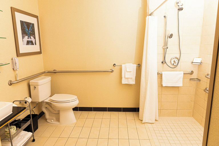 Bathroom 4, SpringHill Suites Pueblo Downtown, Pueblo