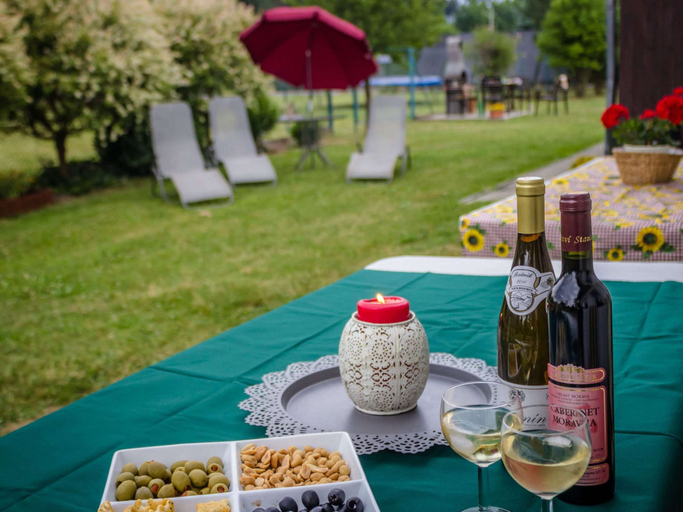 Food & Drinks 5, Villa in Nemojov Near Giant Mountains, Trutnov