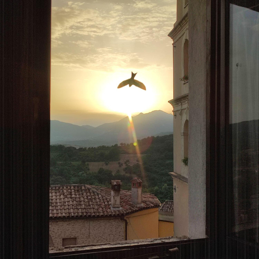Others 4, B&B Le Ginestre, Potenza