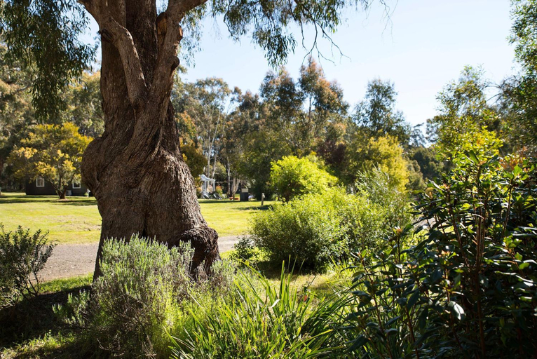 Others 5, Bodhi Daylesford - family friendly group accommodation with pool, Hepburn - East