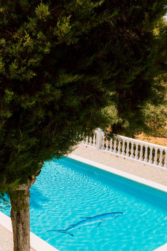 Sport & Beauty 2, Villa Can Vincent near to San Antonio, Baleares