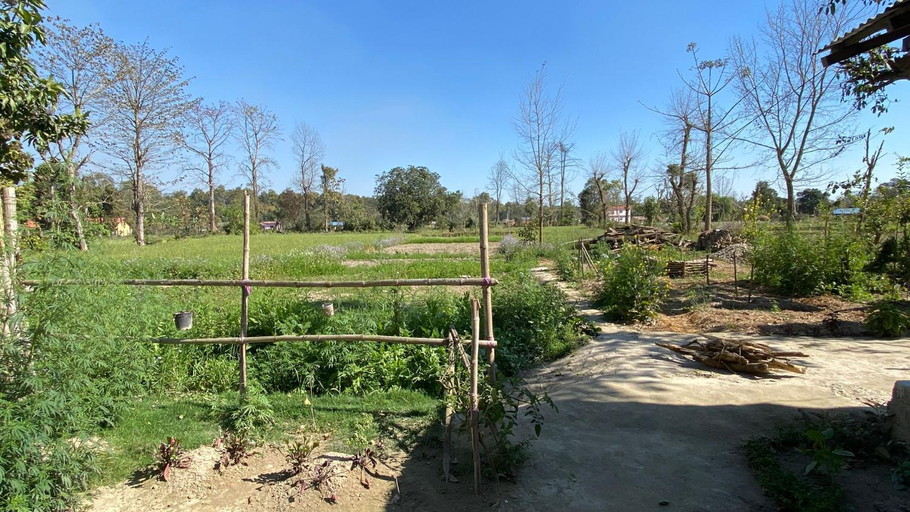 Others 3, Nanu's Bardiya Homestay, Bheri