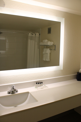 Bathroom 3, Wyndham Flint MI/Grand Blanc/Bishop Airport/Conference Ct, Genesee