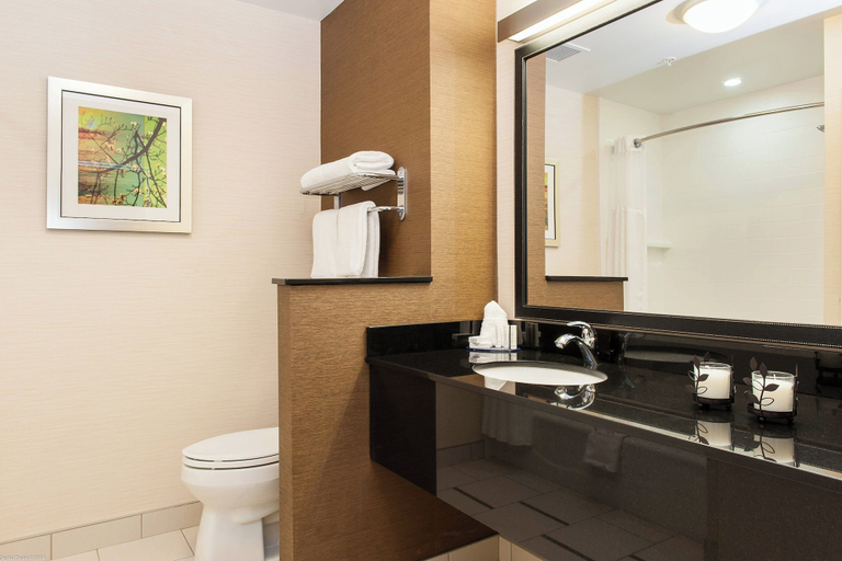 Bathroom 4, Fairfield Inn & Suites by Marriott Vernon, North Okanagan