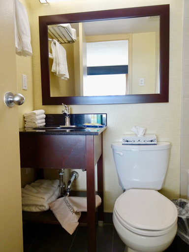 Bathroom 4, Quality Hotel Dorval, Montréal