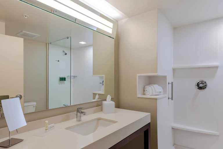 Bathroom 4, Courtyard by Marriott Savannah Airport, Chatham