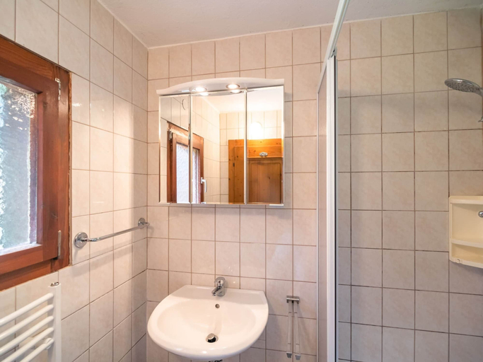Bathroom 3, Chalet in Kalchberg Near Klippitztorl Ski, Wolfsberg