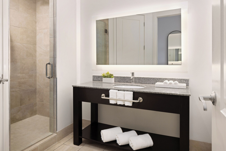Bathroom 5, The Hotel Zamora, Pinellas