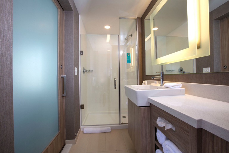 Bathroom 4, SpringHill Suites by Marriott Newark Downtown, New Castle
