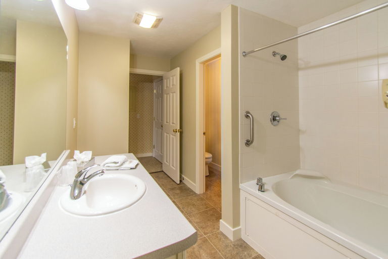 Bathroom 5, Eastern Slope Inn Resort, Carroll