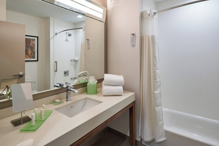 Bathroom 4, Courtyard by Marriott El Paso Downtown/Convention Center, El Paso