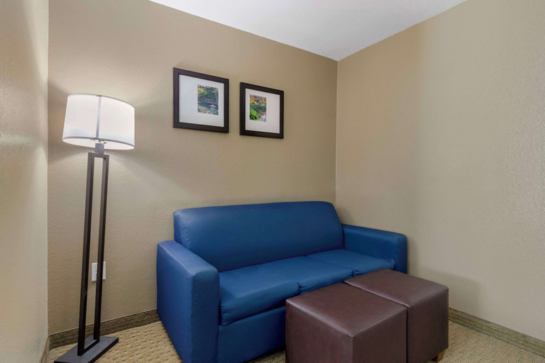 Others 5, Comfort Suites Benbrook - Fort Worth Southwest, Tarrant